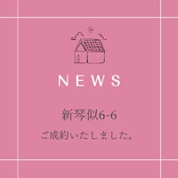 画像256