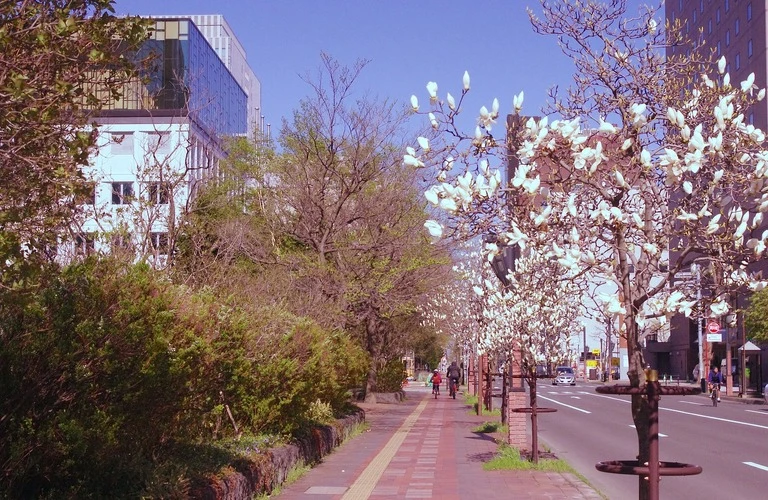 新しい暮らしを創る、自然と調和する住まいを見つけよう