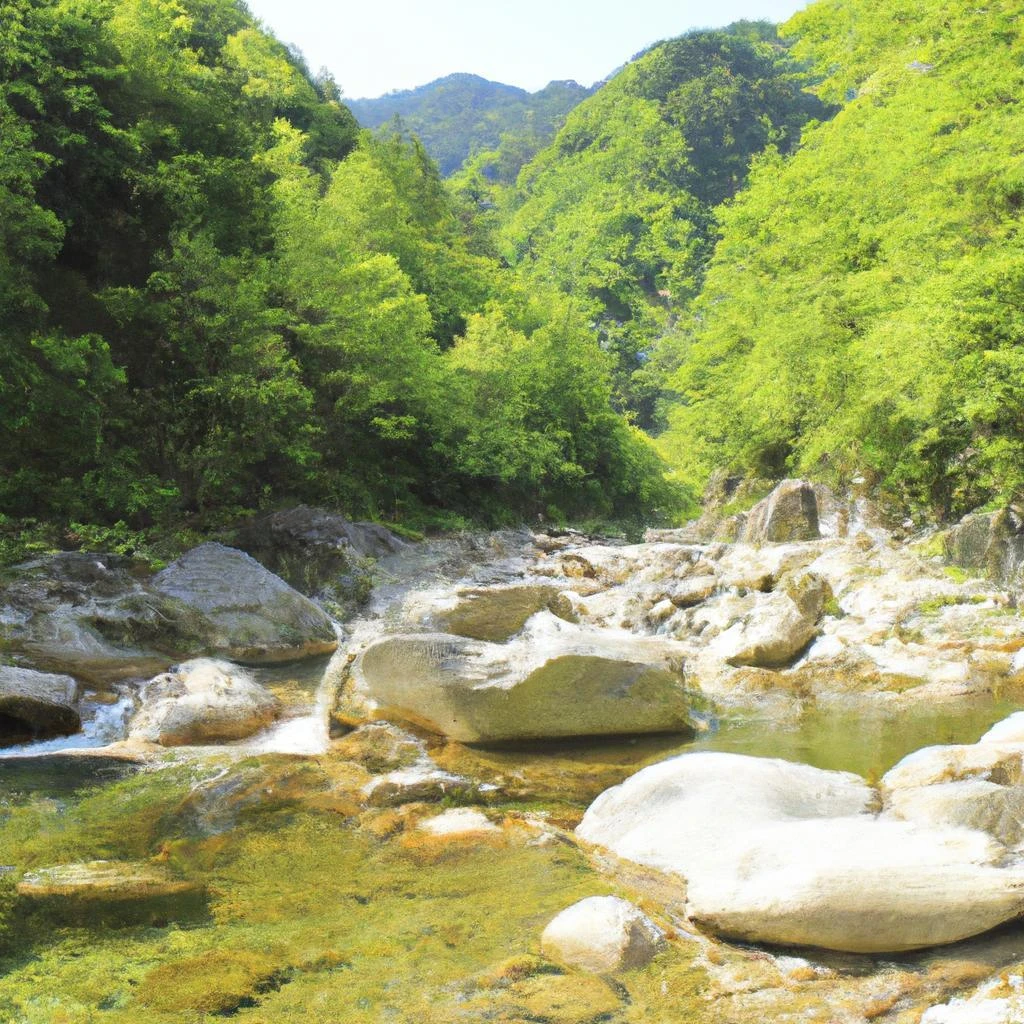 宮の沢で新たなライフスタイルを始めよう！