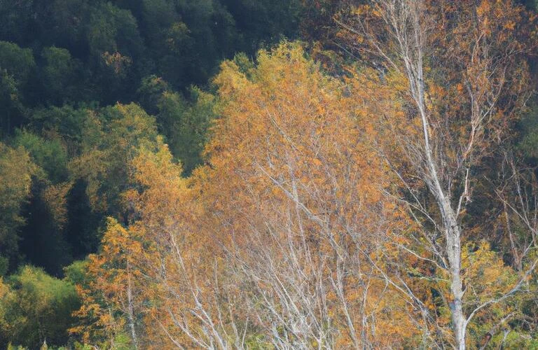 四季折々の北海道を楽しむ！快適な生活を手に入れよう